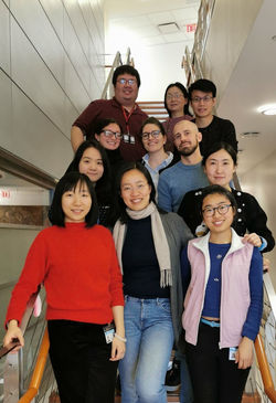 Lab picture 2019