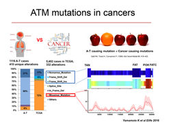 ATM cancer